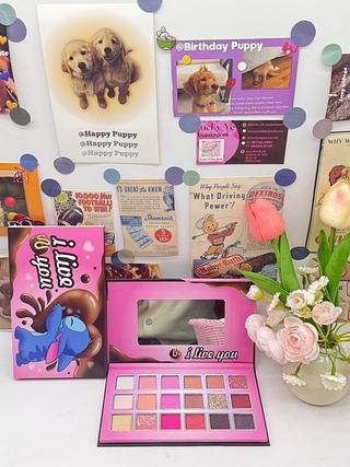 Paleta de sombra Stitich