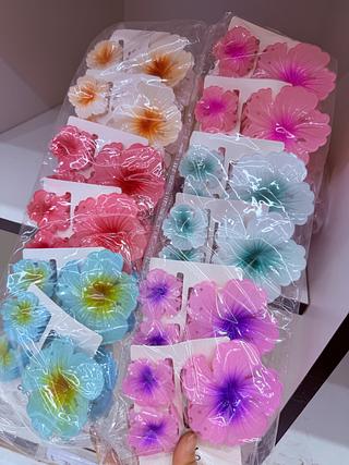 Presilha de cabelo Cores separar que estevem disponível